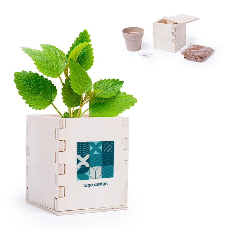 Wooden flowerpot with mint